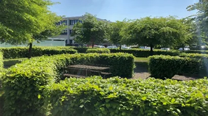 Hyggelig fælles have til sommeren - HALV PRIS frem til d. 30. september 2024